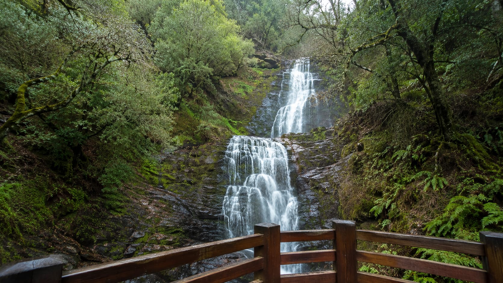 Hidden Falls Regional Park